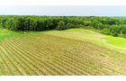 Van Buren County, Michigan farmland - LAND AUCTION - 194+/- ACRES OFFERED IN 5 TRACTS IN VAN BUREN COUNTY, MICHIGAN
